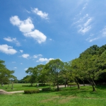 公園のバリアフリー整備ガイドラインが見直されます！ （第1回都市公園の移動等円滑化整備ガイドライン改訂委員会報告）