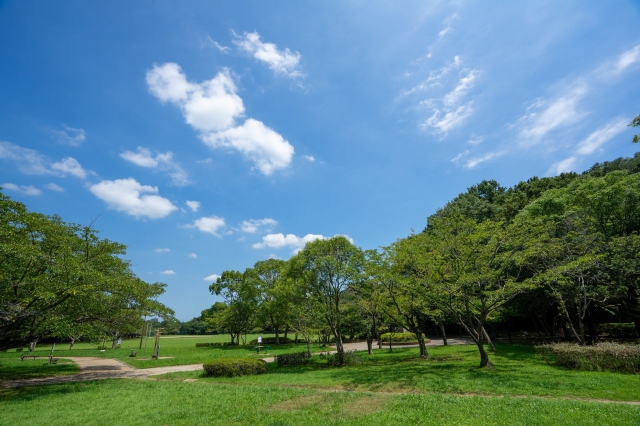 青空と緑の公園