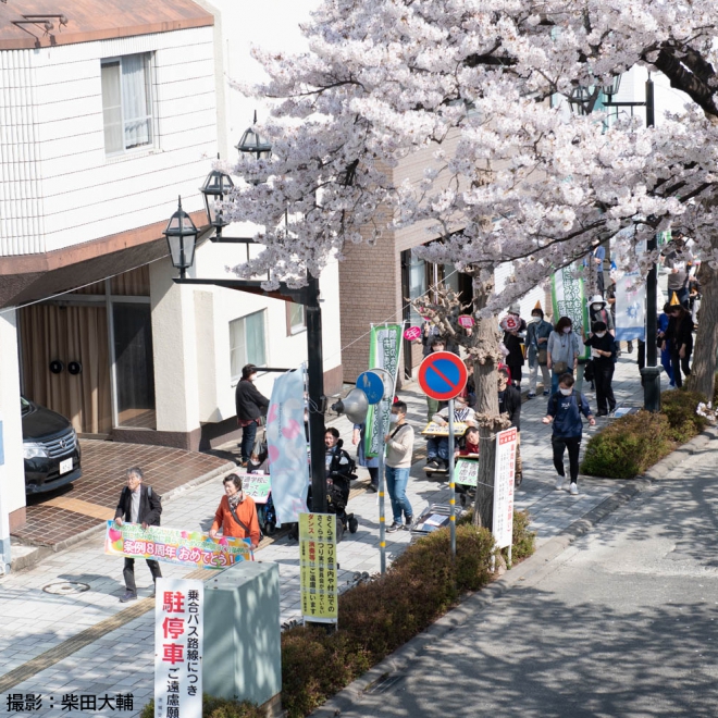 桜並木の中を歩くきパレード