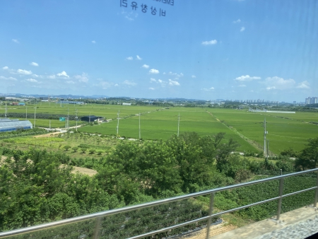 車窓から見える田園風景