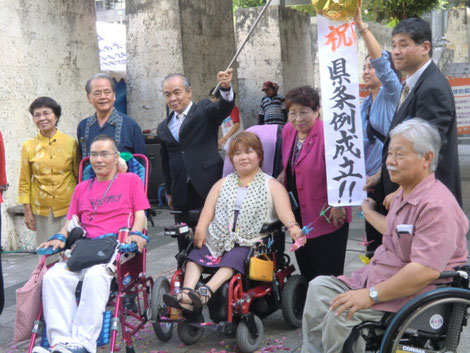 祝-県条例成立-のくすだまを掲げる-条例の会のメンバーと県議会議員たち