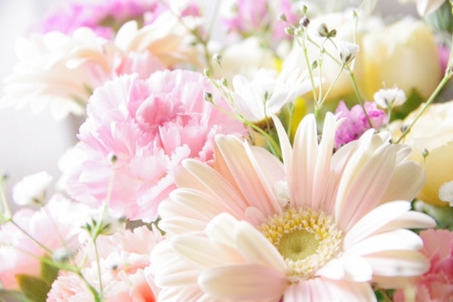 光を浴びるピンク色の花束