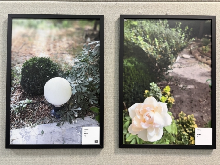 写真④~⑦ 展示写真の一部