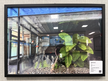 写真④~⑦ 展示写真の一部