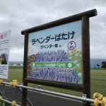 ラベンダーばたけ駅